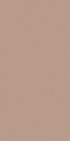 Керамогранит Monolight Mocca 59,7x119,7