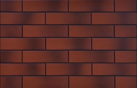 Фасадная плитка Rot elewacyjna gladka cieniowana 6,5x24,5