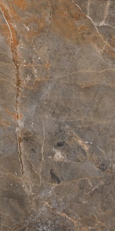 Керамогранит Sofija Brown 59,7x119,7 фото 1