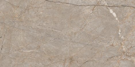 Керамогранит Silver Roots серый 60x120 фото 1