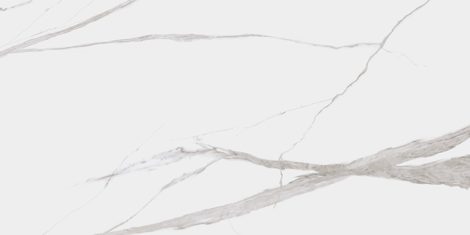 Керамогранит Project Antibacterial Calacatta Levigato 60x120