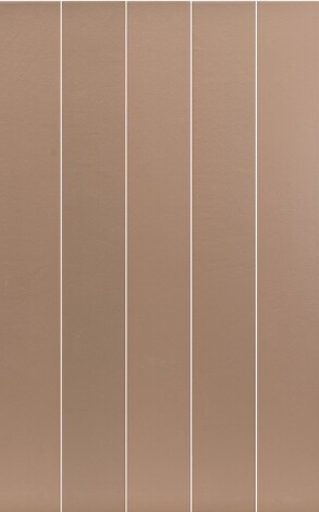 Керамогранит Earth Baltic amber 7,5x60