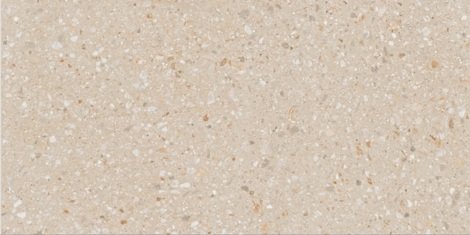 Керамогранит Aglomerat AG22 неполированный 60x120