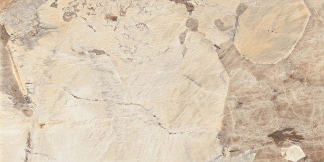 Керамогранит Marble OnlyGres MOG304 60x120 фото 1