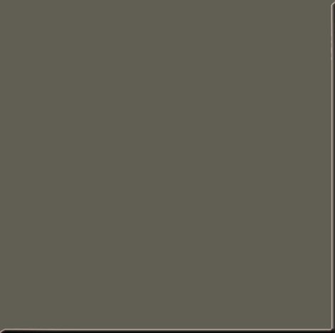 Керамогранит RW 033 неполированный 60x60