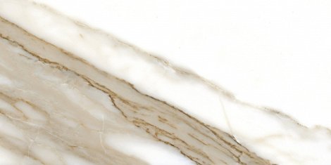 Керамогранит Calacatta Nplus brillo rec 60x120