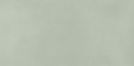 Плитка Color Mood Menta 80x160