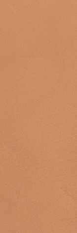 Плитка Color Now Curcuma 30,5x91,5