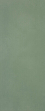 Плитка Materia Brillante Bosco Brillante 50x120