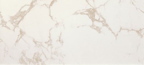 Плитка Roma Calacatta 50x120