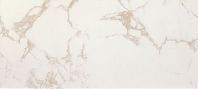 Плитка Roma Diamond Calacatta 50x120