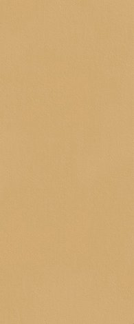 Плитка True Color Caramel 50x120