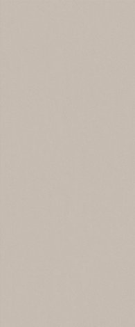 Плитка True Color Fossil 50x120