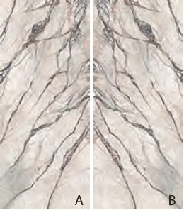 Декор Supreme Hedonism Quarzite Sky Slab A Lux 3D R 120x280