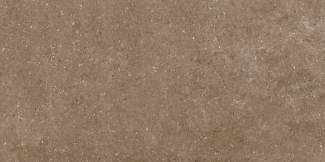 Керамогранит Аркаим G214 Коричневый матовый 60x120 фото 1