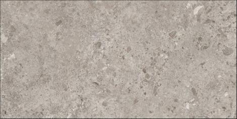 Керамогранит Bierzo Gris 60x120