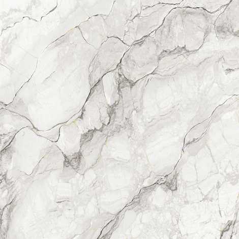 Керамогранит Coverlam Camouflage Nat 120x120