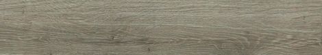 Керамогранит Alnus Plumbeo 20x120