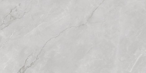 Керамогранит Astonia Silver Glossy Silver Line 60x120