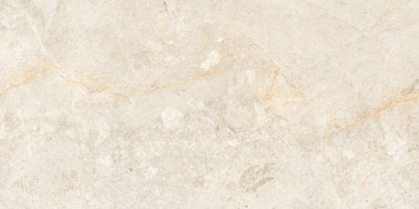 Керамогранит Edimex Ivory Drab 60x120
