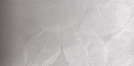 Керамогранит Eleganza Perla Arte Carving 60x120
