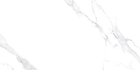 Керамогранит Pearl Statuario Glossy Silver Line 60x120 фото 1