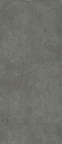 Керамогранит Avantgarde Black 120x278