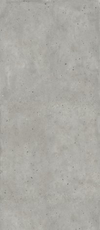Керамогранит Avantgarde Silver 120x278