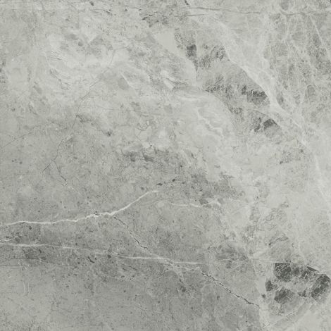 Керамогранит Charme Extra Floor Project Silver Натуральная 60x60 фото 1