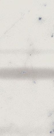 Угол Charme Extra Wall Project Carrara London A.E. 2x5
