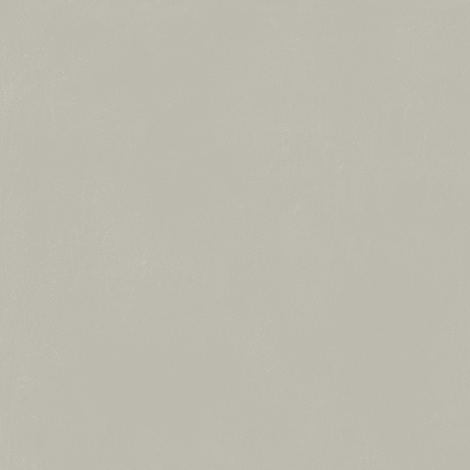 Керамогранит Forum Слим Сильвер 80x80