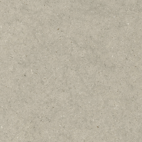 Керамогранит Forum Стоун Дезерт 80x80