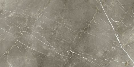 Керамогранит Stellaris Tuscania Grey натуральный 60x120 фото 1
