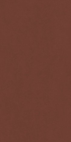 Плитка Surface Exclusive red 80x160