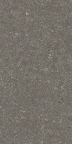 Керамогранит Чеппо ди Гре коричневый матовый обрезной 60x119,5 фото 1