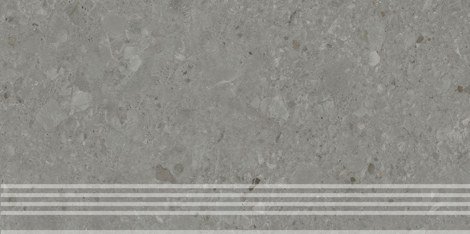 Ступень Чеппо ди Гре серый темный матовый обрезной 30x60 фото 1