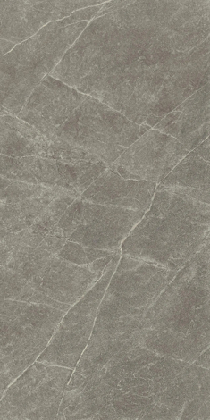 Керамогранит Эстерель серый матовый обрезной 60x119,5