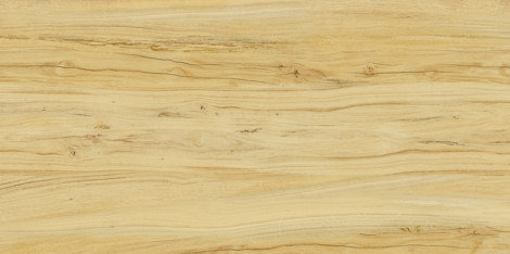 Керамогранит Alleya Honey/Медовый Структурированный 60x120 фото 1