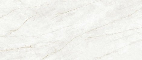 Керамогранит Rain Forest White Pulido rect 120x280