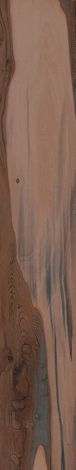 Керамогранит Kauri Kaimai Nat Rett 20x120