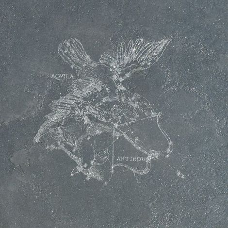 Декор Pietra Lavica Decoro Aquila Fuligo 49x49
