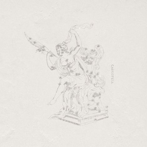 Декор Pietra Lavica Decoro Cassiopeia Arenal 49x49