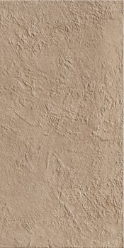 Керамогранит Cottofaenza RB36TC 30x60