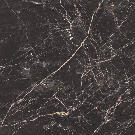 Керамогранит Black Arkadia 60x60 фото 1