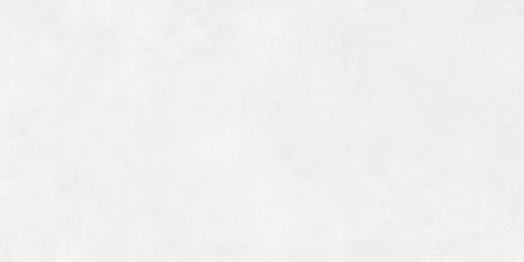 Плитка Evolution blanco матовый обрезной 40x80