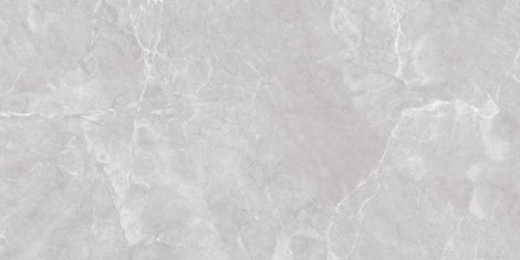 Керамогранит Marble Grey PRO серый матовый 60x120 фото 1