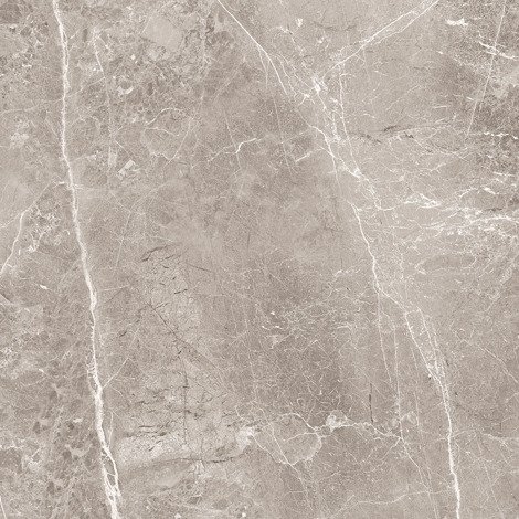 Керамогранит Obsidian Grey Матовый 60x60 фото 1