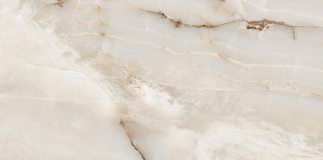 Керамогранит Onyx Smoke светло-серый полированный 60x120 фото 1