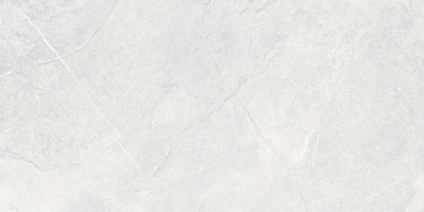 Керамогранит Оверланд Мун ПРО светло-серый матовый структурный гл.чернила 60x120