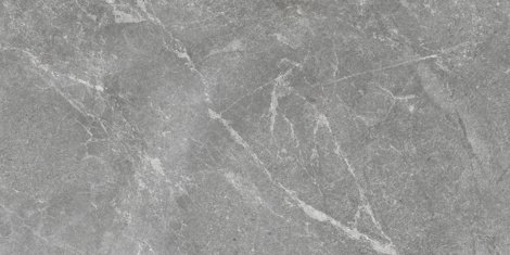 Керамогранит Rocky Grey Pro серый матовый 60x120 фото 1